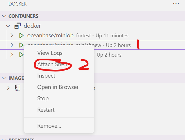 start docker2